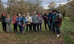 marche gabales mas la croix roc des monges en nov (1)