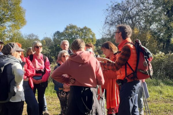 sortie en octobre miel et les abeiles rocamadour et marche (3)